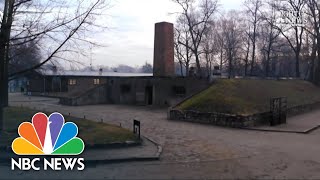 Auschwitz Survivors Return To Death Camp 75 Years Later‌  NBC Nightly News [upl. by Dorwin]