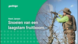 Laagstam fruitbomen snoeien appelboom [upl. by Lytton]