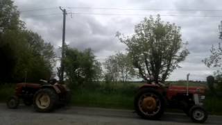 Ursus C335 vs Massey Ferguson 135 165 amp Schluter Super 650 [upl. by Notniuqal]