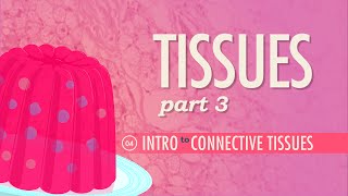 Tissues Part 3  Connective Tissues Crash Course Anatomy amp Physiology 4 [upl. by Linc]