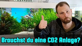 Brauchst du eine CO2 Anlage im Aquarium  Das bewirkt CO2 in dein Aquarium [upl. by Airtal]