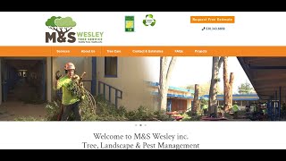 MampS Wesley Tree Service Website amp Competitor Review [upl. by Ynneg218]