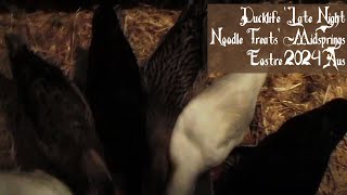 Ducklife Late Night Noodle Treats Midsprings Eostre 2024 Aus [upl. by Leake]