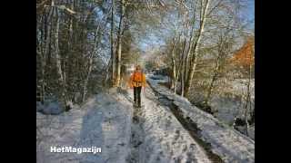 De Kalmthoutse Heide in de sneeuw 1 [upl. by Hardie]