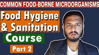 FoodBorne Microorganisms Viruses Bacteria Fungi Parasites  Food Hygiene amp Sanitation Pt 2 [upl. by Oitaroh]