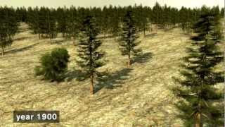 Sustainable Forestry  the Swedish modelmov [upl. by Brost]