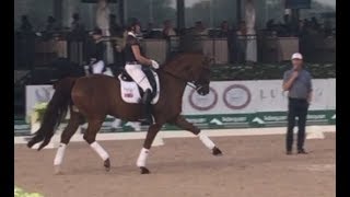 Carl Hester Masterclass Maximizing the Medium Trot in Dressage [upl. by Adneral]