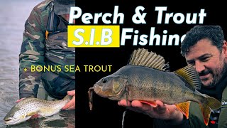 SIB Fishing for Perch amp Brown Trout  BONUS BIG SEA TROUT  Scottish Highland Loch [upl. by Nodyarb]