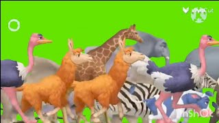 Reupload cenozoic animal stampede Green Screen [upl. by Acceber]