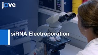 siRNA Electroporation to Modulate Autophagy in HSV 1Infected DCs  Protocol Preview [upl. by Crifasi239]