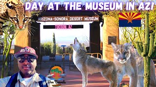 Arizona Sonora Desert Museum Tour in Tucson Arizona [upl. by Barnum589]