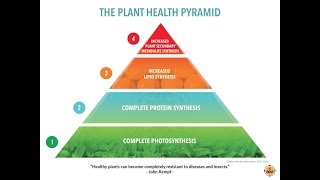 Plant Health Pyramid [upl. by Cindee]