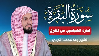 ما تيسر من سورة البقرة تلاوة هادئة تقشعر لها الأبدان😌 بصوت الشيخ رعد الكردي لطرد الشياطين من المنزل🏠 [upl. by Faso]