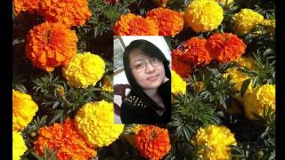 Purbeli Lok Geet Dashain Tihar song 2015 by Mina Rai  Sanjay Tumruk [upl. by Hakim]