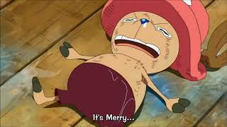 one piece chopper crying on the floor 1 hour relaxing [upl. by Eilahs]