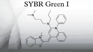 SYBR Green I [upl. by Haelhsa]