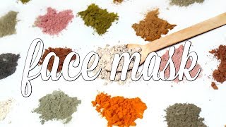 DIY Powdered Face Mask Ι TaraLee [upl. by Salema]