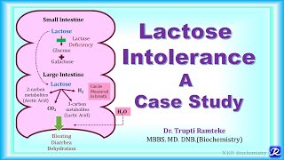 23 Lactose Intolerance A case study  Carbohydrates Metabolism  Biochemistry NJOY Biochemistry [upl. by Redienhcs]