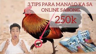 3 TIPS KUNG PAANO MANALO SA ONLINE SABONG onlinesabong [upl. by Serrell]