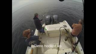 haddock fishing 61116 [upl. by Brad]