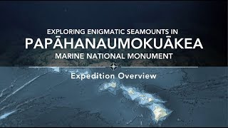 Expedition Overview Exploring Enigmatic Seamounts in Papahānaumokuākea  Nautilus Live [upl. by Deryl81]