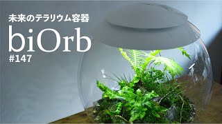 超大型テラリウム容器biOrbバイオーブ【商品レビュー】 147 [upl. by Ermin]