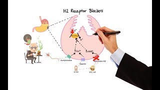 Pharmacology  ANTIHISTAMINES MADE EASY [upl. by Shue]