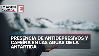 Detectan presencia de nicotina y antidepresivos en agua de la Antártida [upl. by Davina]