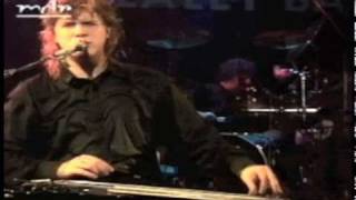 Jeff Healey  Angel Eyes [upl. by Liane267]