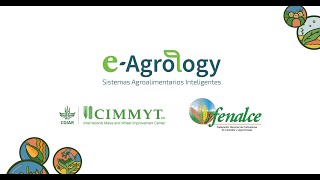 eAgrology y modelo Hub del CIMMYT🌱🌽🌾 sistema agroalimentario e inteligente [upl. by Ayhdnas419]