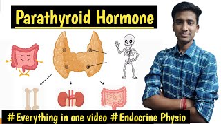 Parathyroid Hormone Parathyroid Gland PhysiologyEndocrine Physiology  Ashish Agrawal [upl. by Inkster]