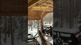 Im Sawmill Bound sawmill sustainableforestry [upl. by Caine]