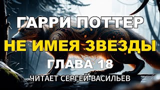 Не имея звезды  Глава 18  Гарри Поттер аудиокнига Васильев С [upl. by Wakeen]