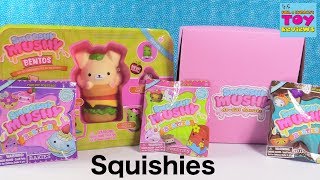 Smooshy Mushy Besties Do Dat Donuts Series 2 Squishy Review  PSToyReviews [upl. by Iniretake509]