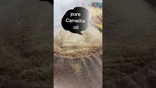 The Process Of Camellia Oil satisfying short [upl. by Ybrek]