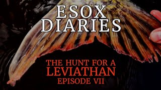 Esox Diaries  The Hunt for a Leviathan  Episode VII  Specimen Pike Fishing  Lake of Menteith [upl. by Felicdad]