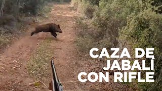 CAZA DE JABALÍ CON RIFLE 🐗💥  Buenos colmillos ⭐ [upl. by Airelav]