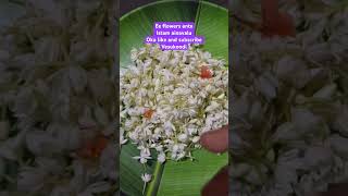 Jajimalli thota lo najajimali indianjasmineytshortsviralvideoflowersshortsshezmouni subscribe [upl. by Fawn]