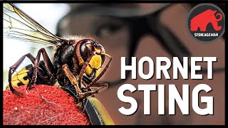 STUNG BY A GIANT HORNET IN SLOWMO [upl. by Sulihpoeht]