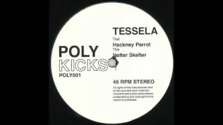 Tessela  Hackney Parrot [upl. by Aizek]