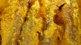 ভোলা মাছের টক ঝালvola fish curry new styleএই মাছের গুনাগুন জানলে চমকে যাবেন।LIFESTYLEANDSHORTS [upl. by Zink]