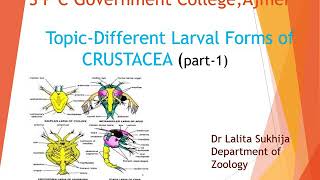 Different larval forms of Crustacea by Dr Lalita Sukhija [upl. by Ruelle436]