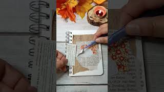 mini junk journal  collage  no talking  no music scrapbooking [upl. by Ibob]