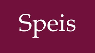 How to Pronounce Speis Correctly in German [upl. by Atnom]