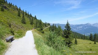 Planai Panoramawanderweg Schafalm [upl. by Laeynad501]