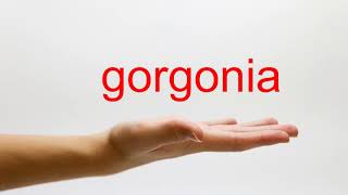 How to Pronounce gorgonia  American English [upl. by Nyram]