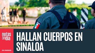 Siete cadáveres con huellas de tortura son abandonados en vía de Culiacán FGE indaga [upl. by Anwahsak]