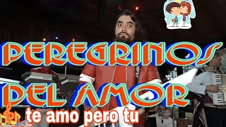 peregrinos del amor en vivo Te amo pero Tu [upl. by Inahteb]