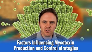 Factors Influencing Mycotoxin Production and Control strategies [upl. by Arlena511]