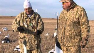 Snow Geese Tips amp Techniques [upl. by Keldah]